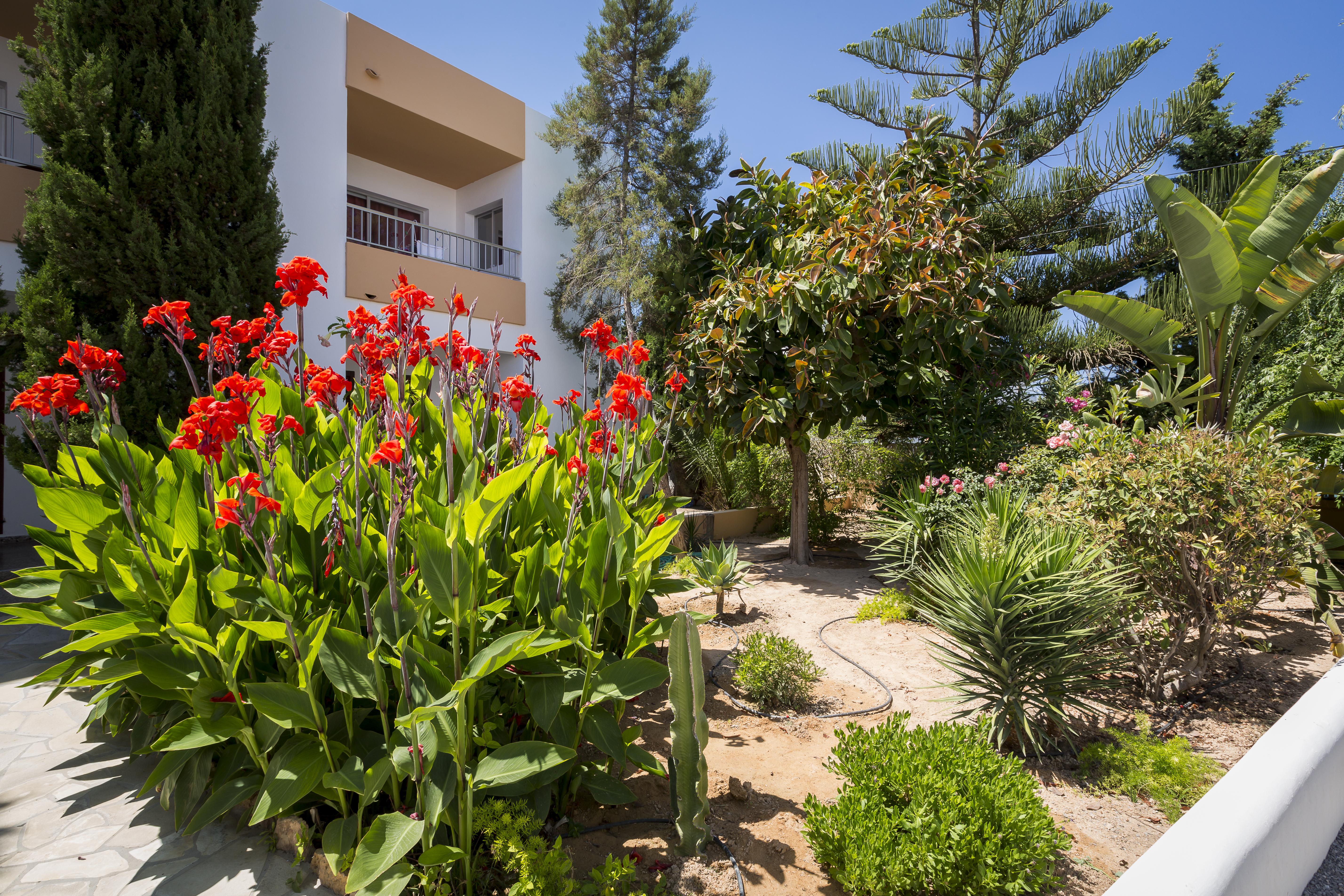 Apartamentos Zodiac San Antonio Abad Exterior foto
